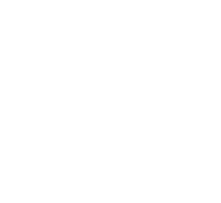 aaa-white